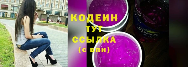 хмурый Мегион