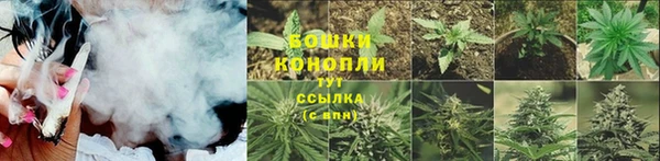 хмурый Мегион