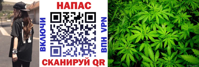Каннабис план  Купить где  Кандалакша 
